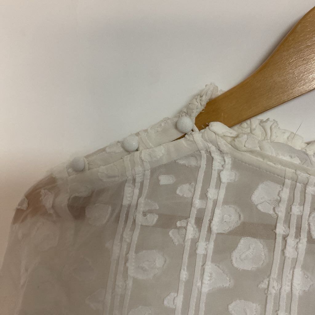 white sheer long sleeve
